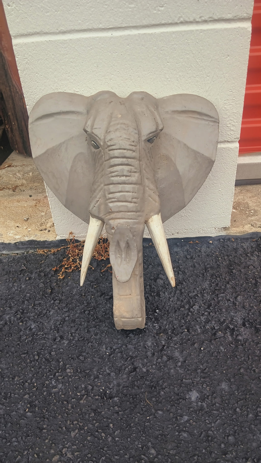 Elephant head