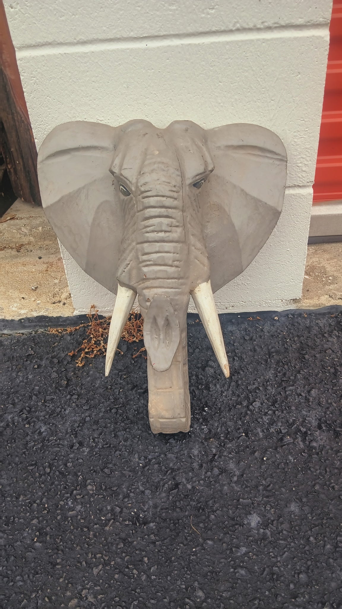 Elephant head
