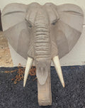 Elephant head