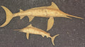 Marlin Shark